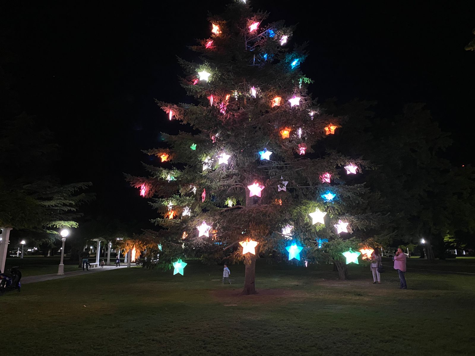 Se volvió a iluminar el árbol de plaza Libertad