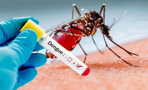 Detectaron el primer caso de dengue en Tandil