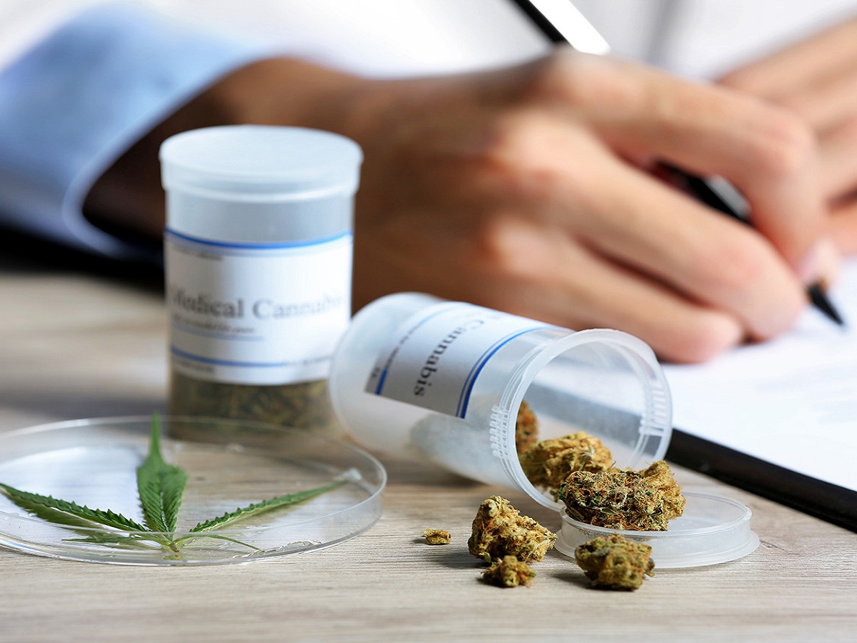 Vecinos denunciaron el robo de cultivo de cannabis de uso medicinal