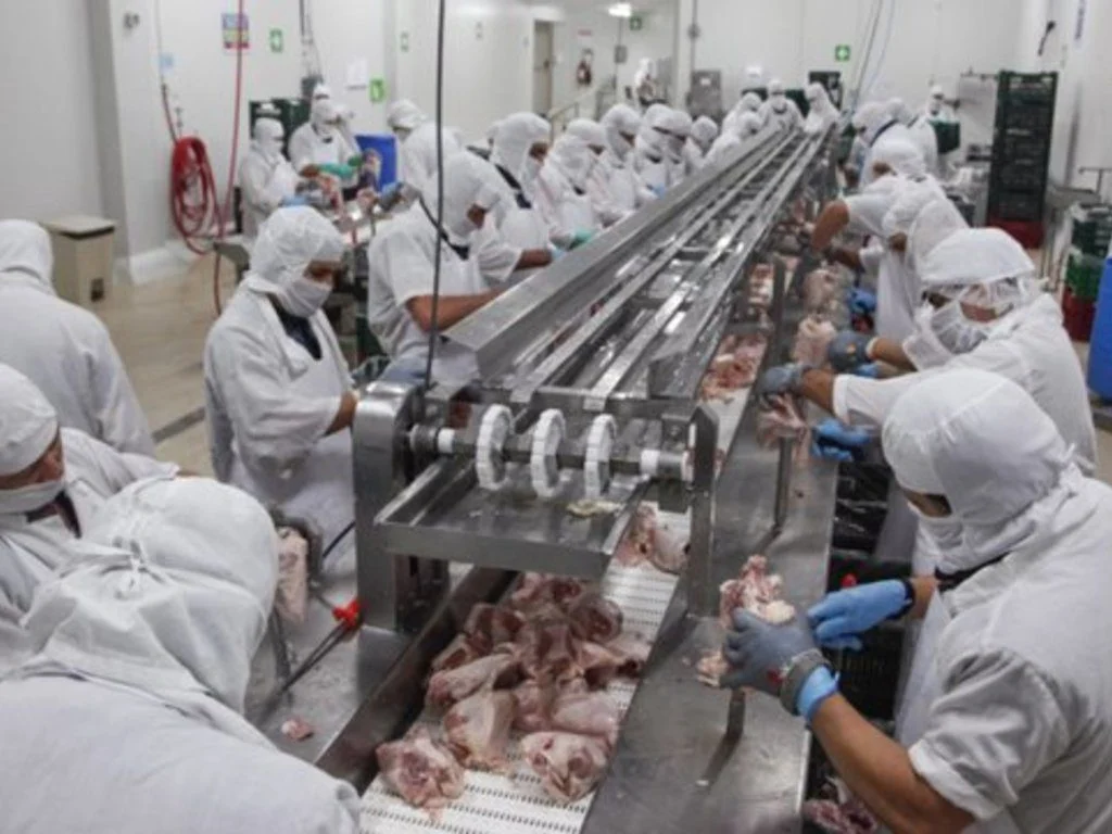 La industria avícola argentina celebró las gestiones del Gobierno para reabrir el mercado chino
