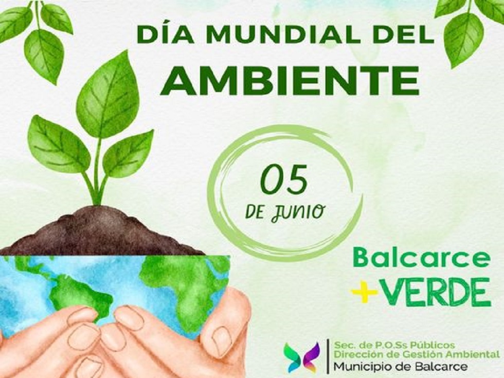 “Día Mundial del Ambiente”: Se llevarán a cabo distintas actividades esta semana