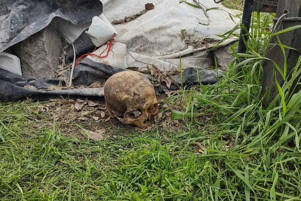 Necochea: Vecino cortaba el pasto y encontró un cráneo humano