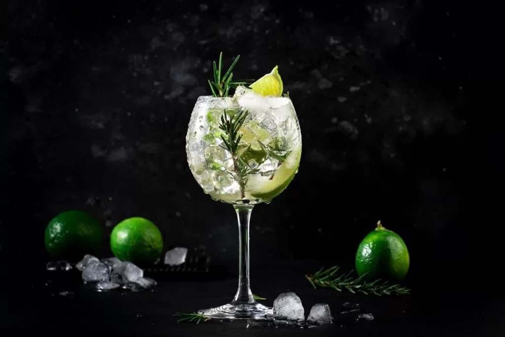Realizarán un festival del Gin Tonic en Mar del Plata el fin de semana extra largo