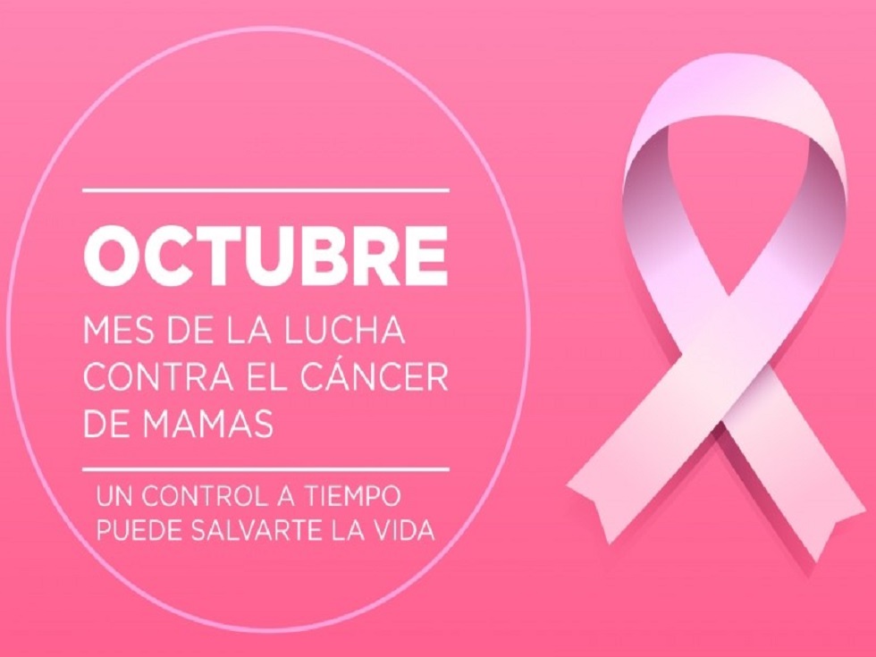 Proponen vestir de rosa las vidrieras en apoyo al mes de lucha contra el cáncer de mama