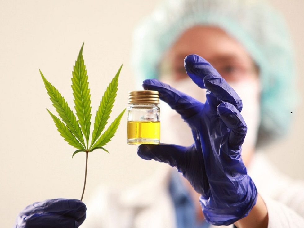 Hoy será el tercer encuentro de "Cannabis Medicinal II"