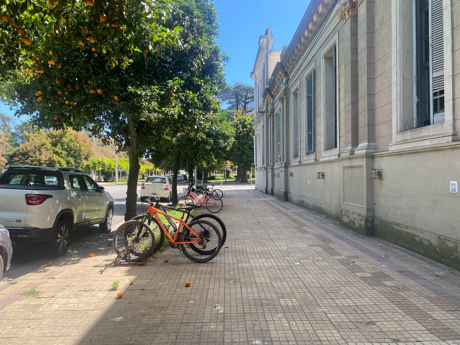Vecinos denuncian robo de bicicletas frente a la Escuela Primaria N° 1