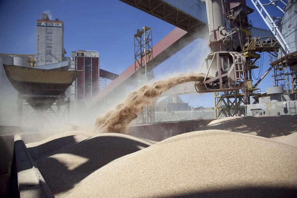 Aseguran que el volumen exportado de soja en mayo fue el más importante desde 2020