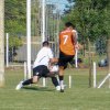 Ultima fecha: Fase Regular